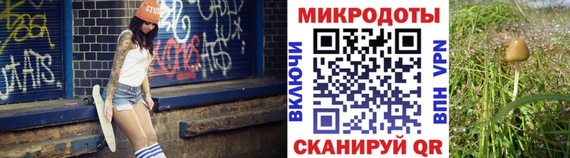 Псилоцибиновые грибы мицелий Агрыз